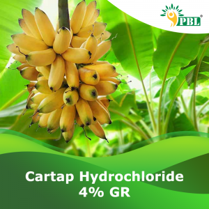 Cartap Hydrochloride 4% GR