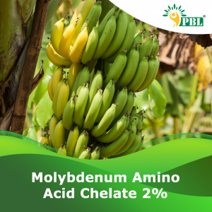 MOLYBDENUM AMINO ACID CHELATE 2%