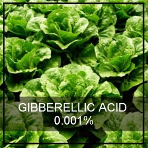 GIBBERELLIC ACID 0.001%