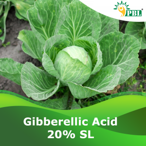 Gibberellic Acid 20% SL