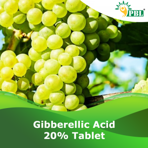 Gibberellic Acid 20% SL Tablet
