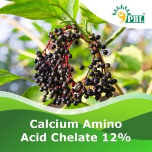 CALCIUM AMINO ACID CHELATE 12%