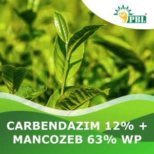 Carbendazim 12% + Mancozeb 63% WP