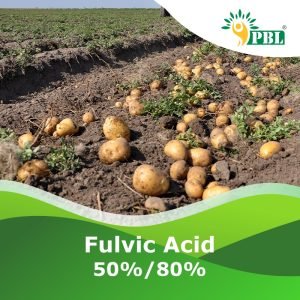 FULVIC ACID 50, 80 percent