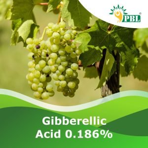 GIBBERELLIC ACID 0.186%