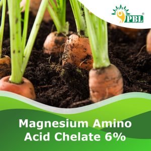 MAGNESIUM AMINO ACID CHELATE 6%