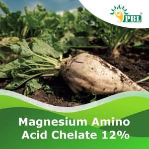 Magnesium Amino Acid Chelate 12%