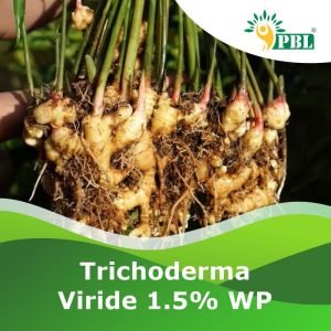 Trichoderma Viride 1.5% w.p.