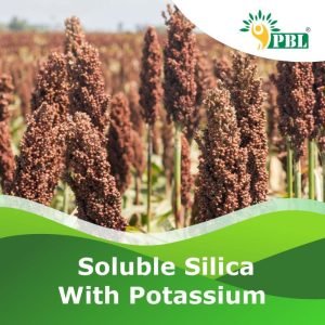 Soluble Silica With Potassium