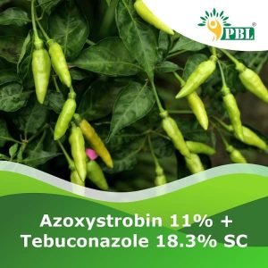 Azoxystrobin 11% + Tebuconazole 18.3% SC
