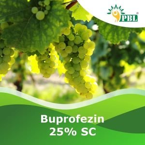 Buprofezin 25% SC