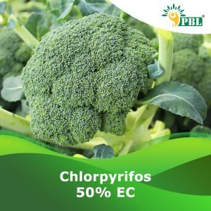 Chlorpyrifos 50% E.C.