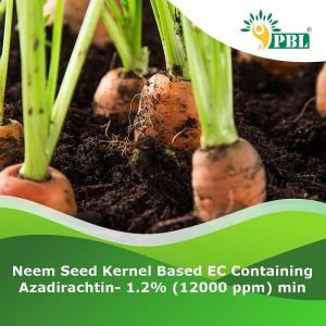 Neem Seed KAzadirachtin- 1.2% (12000 ppm)
