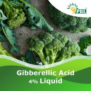 GIBBERELLIC ACID 4% Liquid