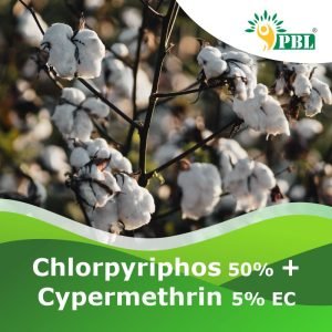 Chlorpyriphos 50% + Cypermethrin 5% EC