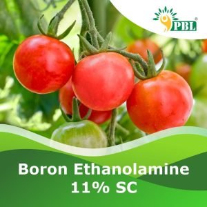 Boron Ethanolamine